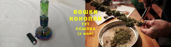 молекула духа Краснослободск