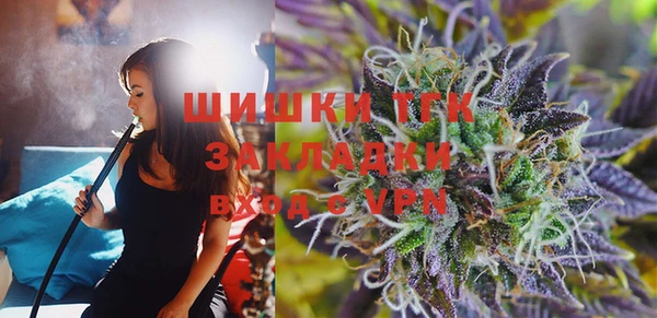 молекула духа Краснослободск
