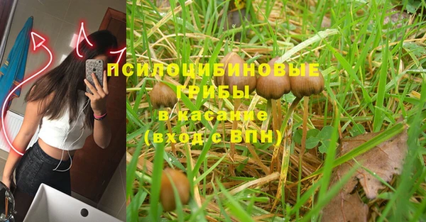 MESCALINE Красноперекопск