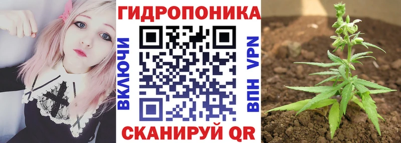 Купить  Алдан  Бошки Шишки семена 